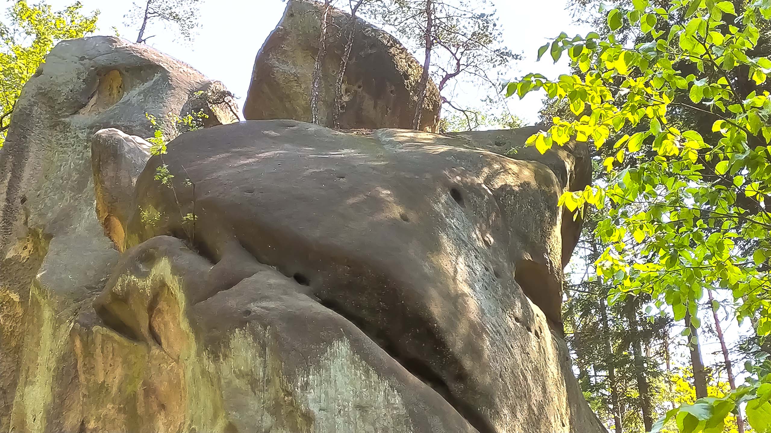 IMG 20200510 113539 kopia